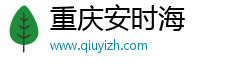 重庆安时海